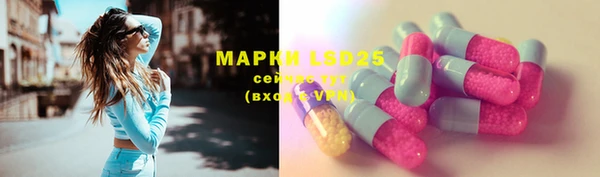 гидра Белокуриха