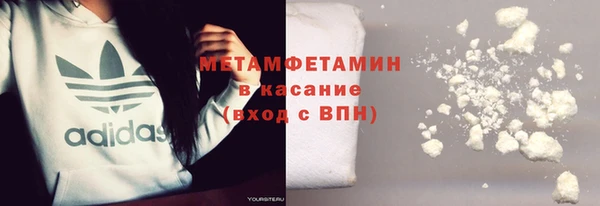 гидра Белокуриха
