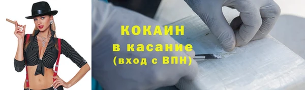 гидра Белокуриха