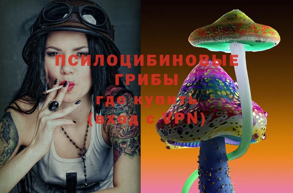 гидра Белокуриха