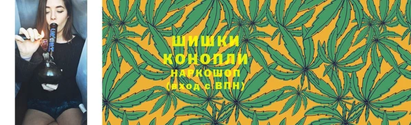 гидра Белокуриха