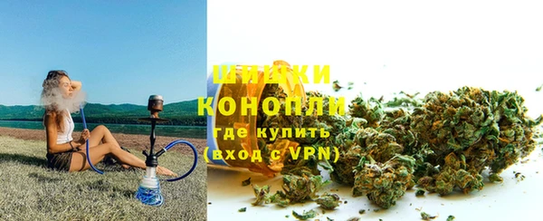 гидра Белокуриха