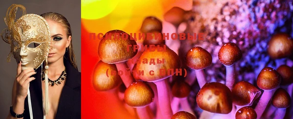 гидра Белокуриха
